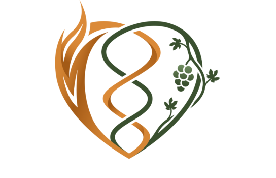 HOOGLIED | Programma voor Relaties